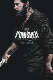 The Punisher: One Last Kill